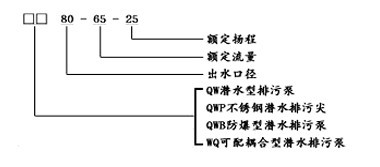 WQ系列潛水排污泵型號(hào)